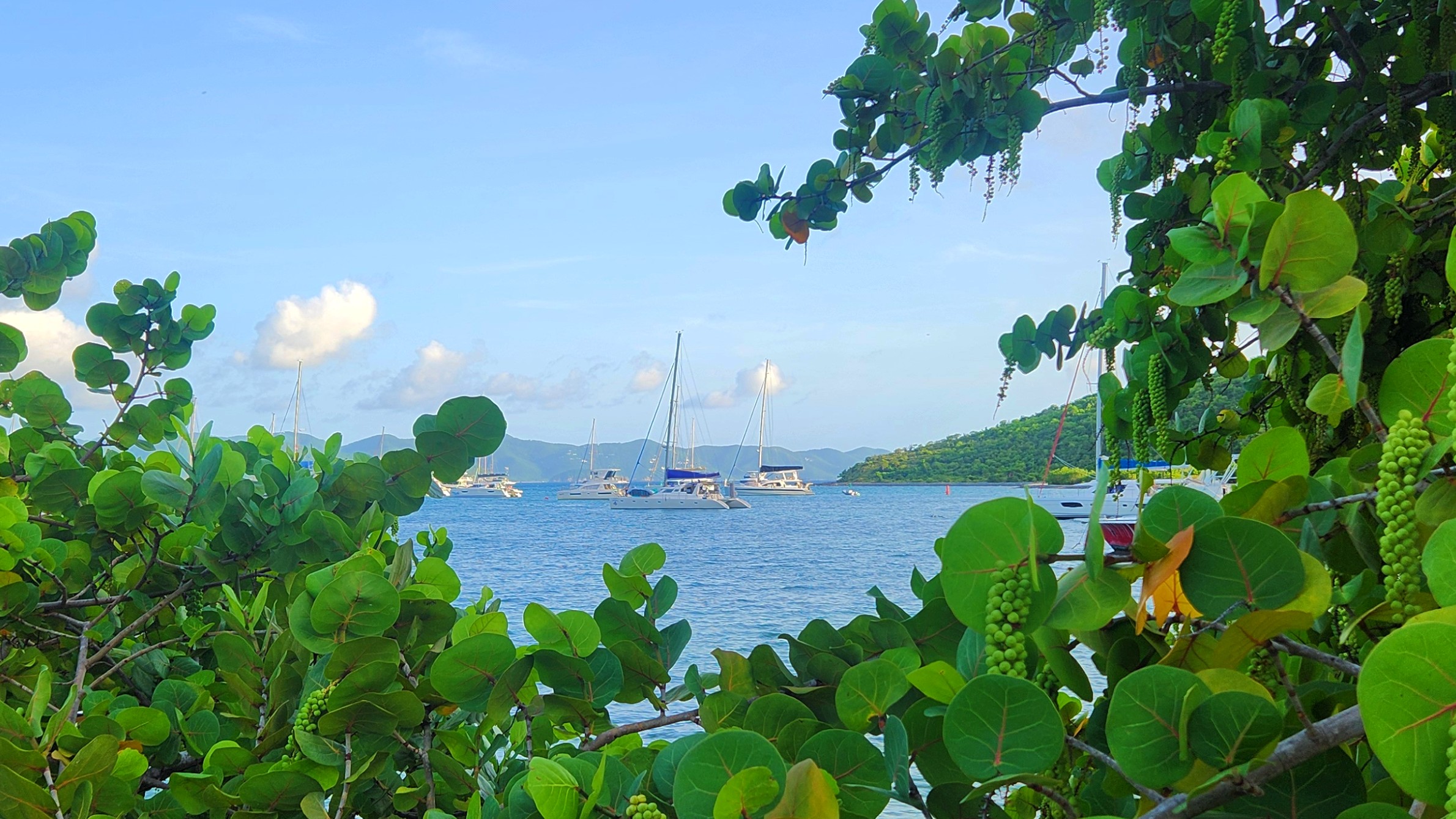 Great Harbour, Jost Van Dyke