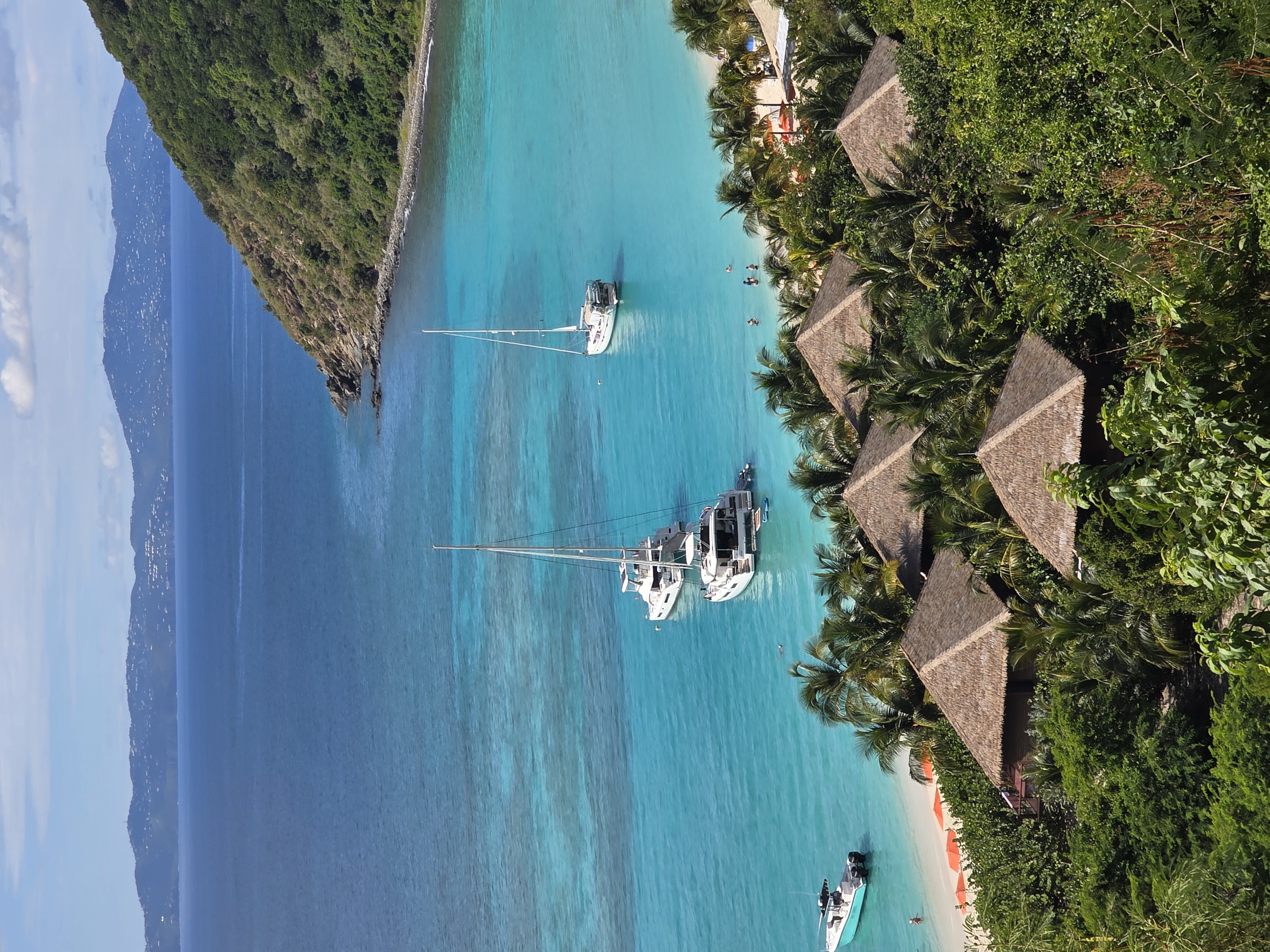 White Bay from the hill